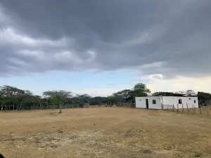 Los Olivos De Jadacaquiva, Falcón