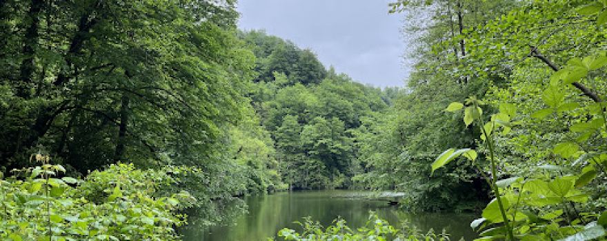 იდუმალი ტბა . Mysterious Lake