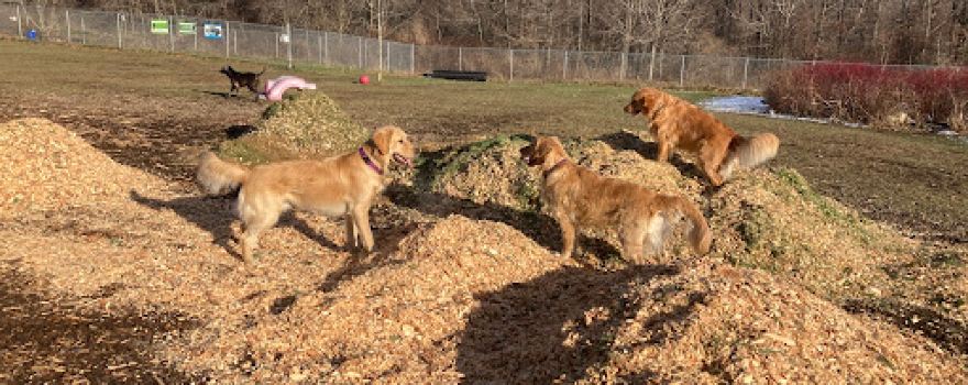Thomaston Dog Park