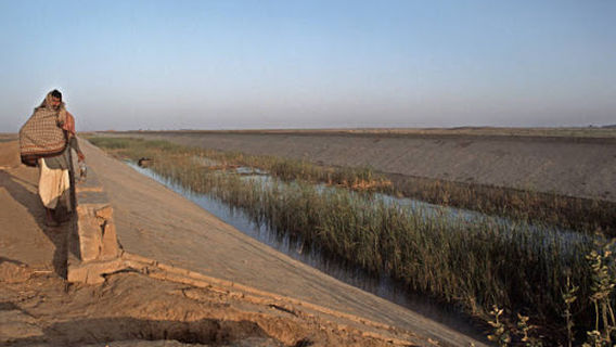 Bikaner