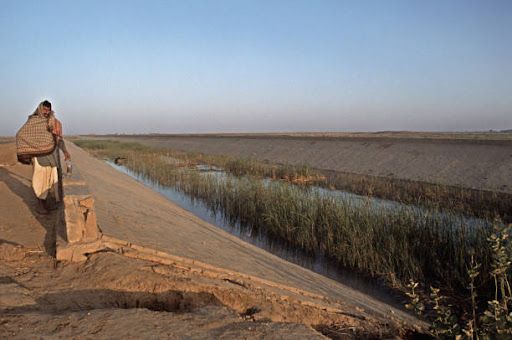 Indira Gandhi Canal