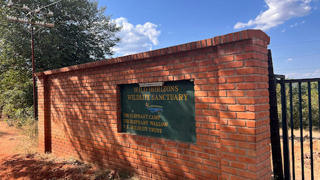 Wild Horizons Elephant Sanctuary