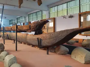 Panchagarh Rocks Museum