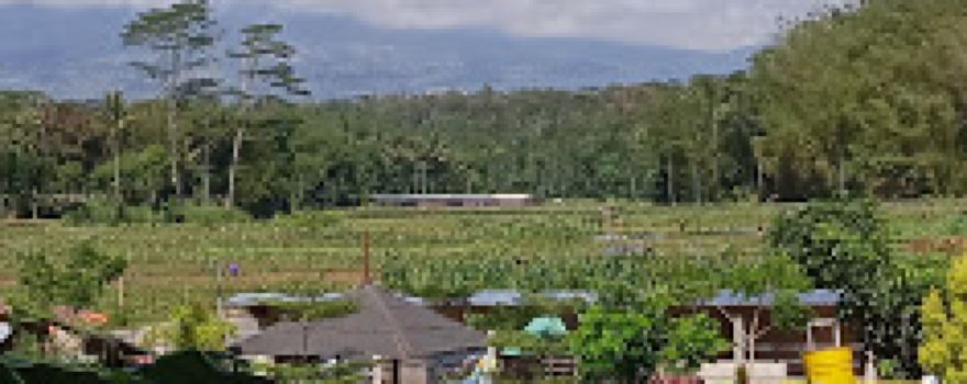 Cahaya Langgeng