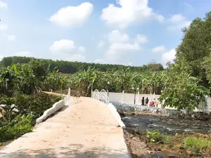 Suối Đá ( Cẩm Đường)