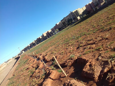 Jardin Oued Eddahab