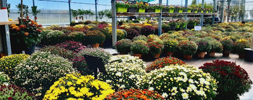 Les Jardins de Lilou