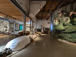 Haldenvassdragets Kanalmuseum