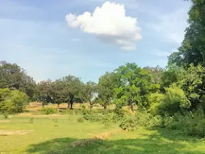 Fort Of Bargarh