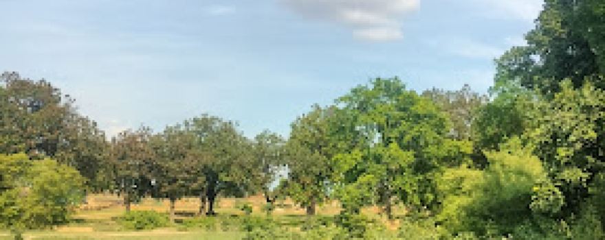 Fort Of Bargarh