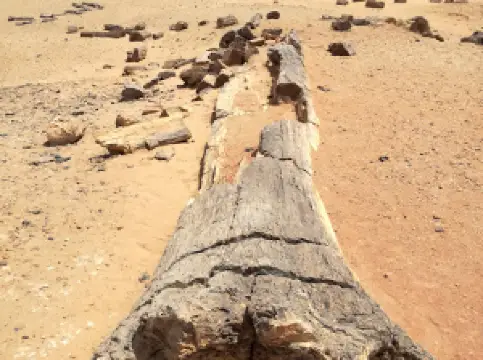 The land of civilizations Park (Trabil)