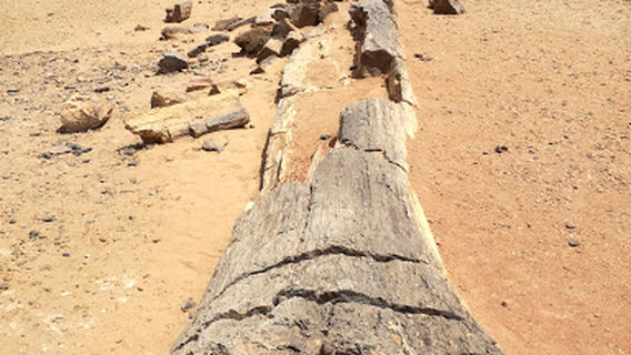 The land of civilizations Park (Trabil)