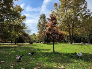 Big Strumica Park