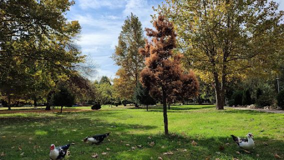 Big Strumica Park