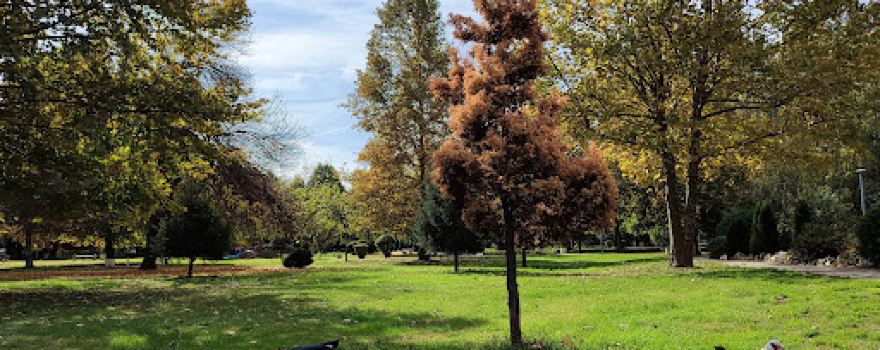 Big Strumica Park