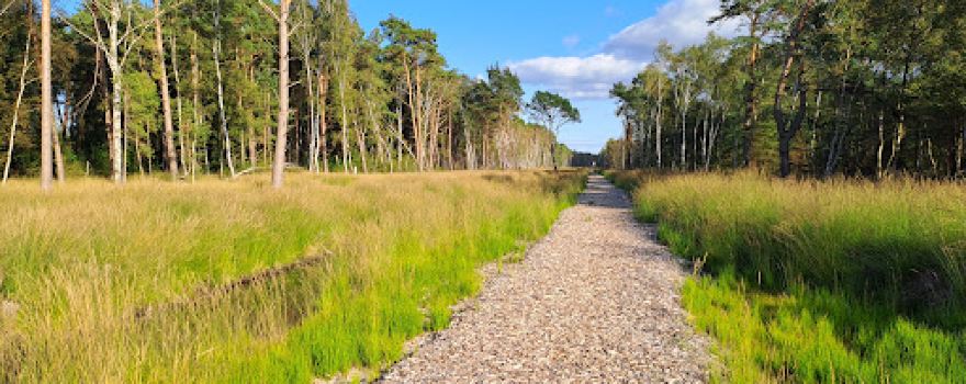 Bissendorfer Moor