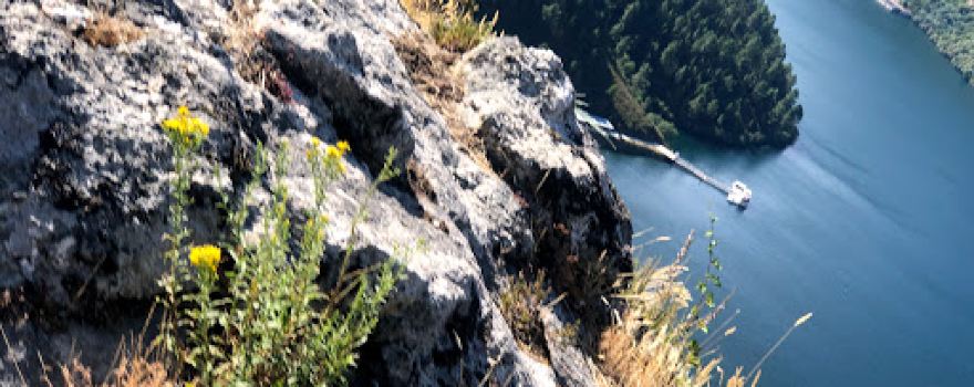 Miradoiro da Ribeira Sacra