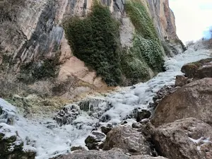 Chorrón De Viguera