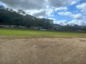 Estadio