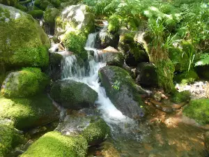 Centro de Recepción de la Reserva Natural Integral de Muniellos