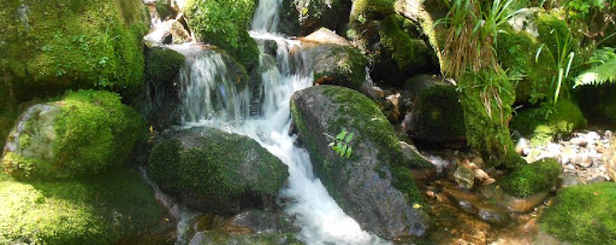 Centro de Recepción de la Reserva Natural Integral de Muniellos