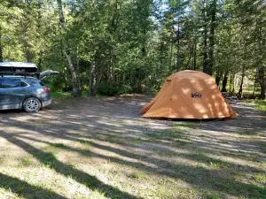 Little Brevort Lake - North State Forest Campground
