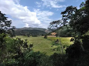 Cerro Saroche National Park