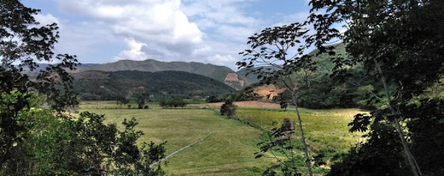 Cerro Saroche National Park