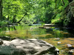 Mardis Mill Falls