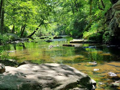 Mardis Mill Falls