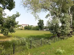Stadion Fîrlădeni