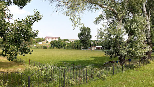 Stadion Fîrlădeni
