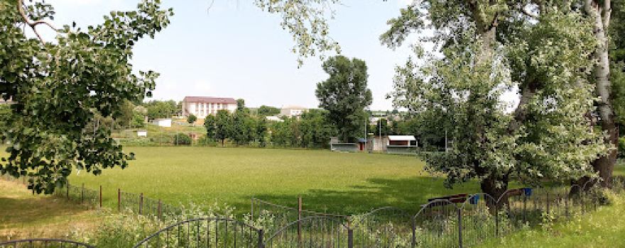 Stadion Fîrlădeni