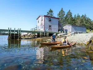 Murphy's Camping on the Ocean