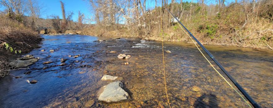 Mitchell River