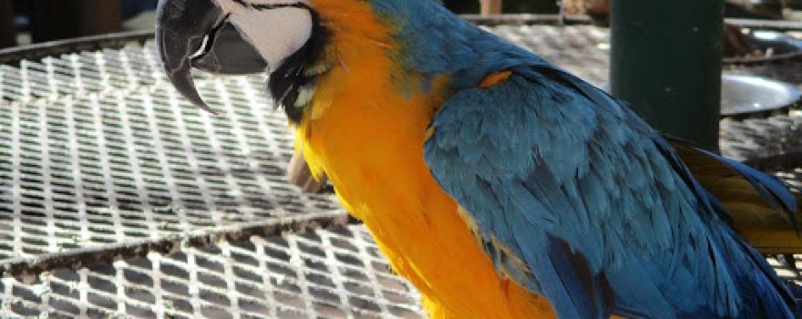 Witbank Garden Centre