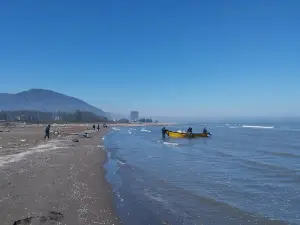 Silver Beach