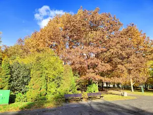 Park im. Dzieci Wrzesińskich