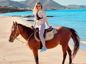 MEZZA CLUB EQUITATION AIN DAMOUS