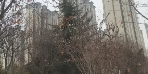 高新區中心廣場