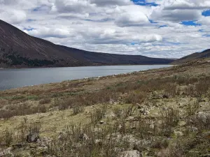 拉龍措古冰漂濕地旅遊景區