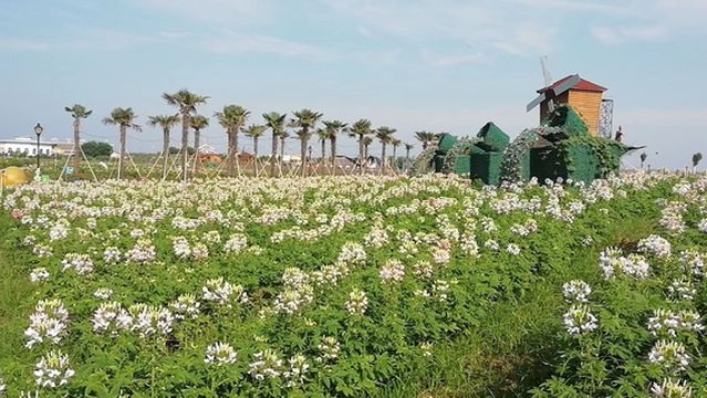 cao xian xin shi jie huan le gu