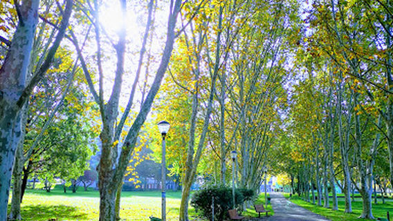 Vanicelos Park