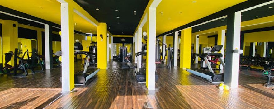 Heart beat Gym Bagli