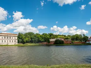 Pałac Firlejów w Czemiernikach