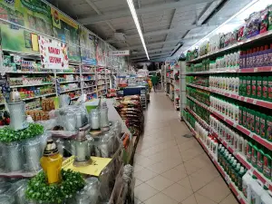 OGRÓD i DOM MARKET I SZKÓŁKA ROŚLIN