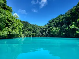 Palau LT Dive