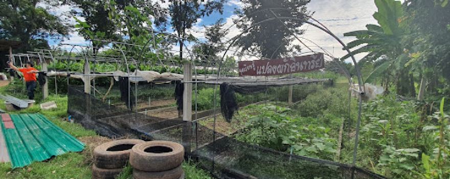 บ้านไร่ชมภู Chomphu Farm