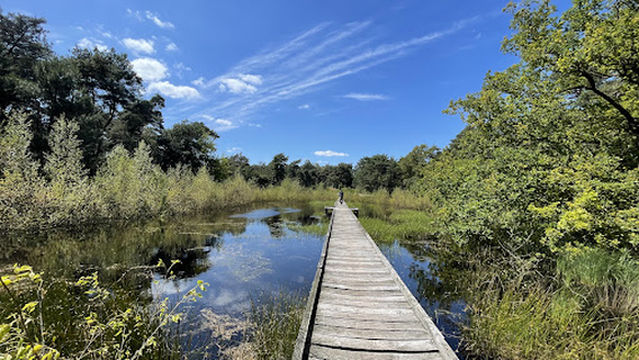 De Maasduinen National Park