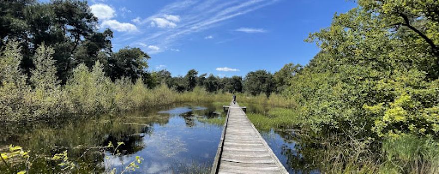 De Maasduinen National Park